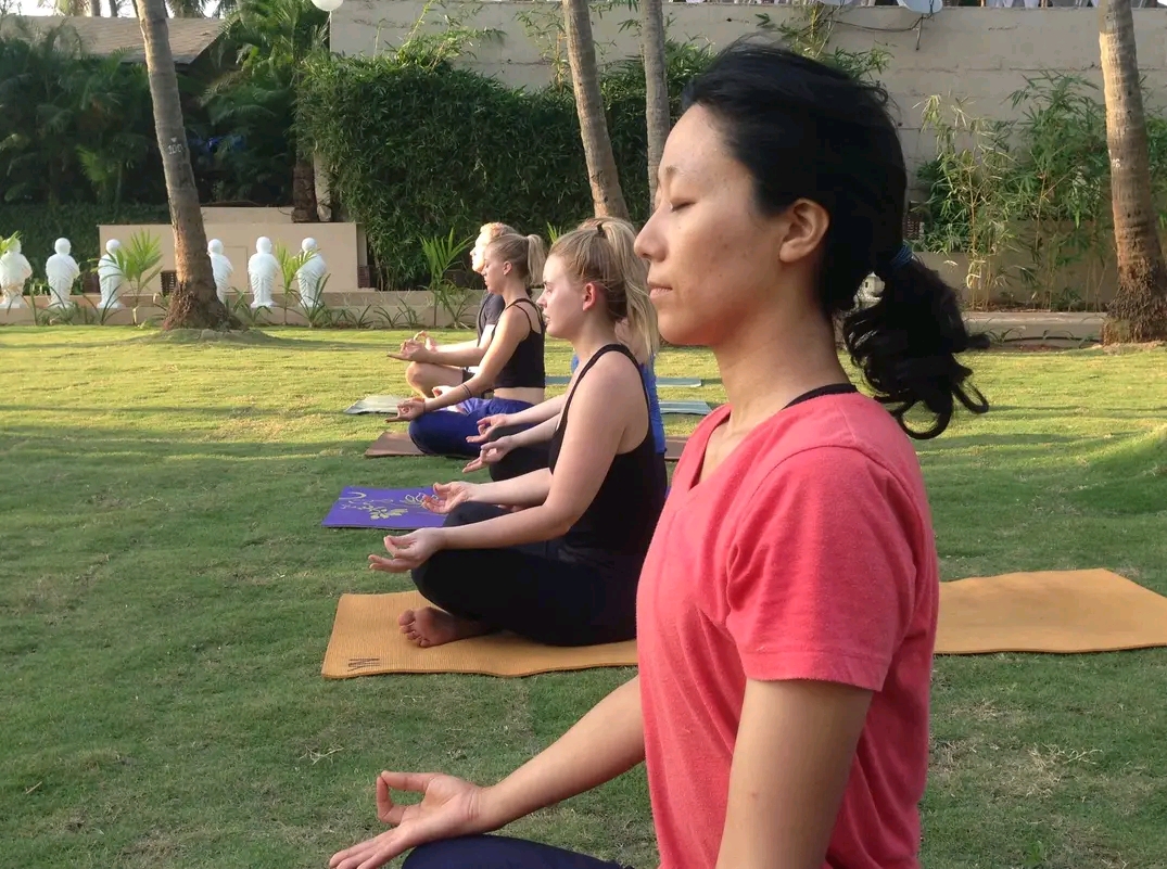 Contact us at Diksha Yoga for inquiries about yoga teacher training programs and wellness retreats.