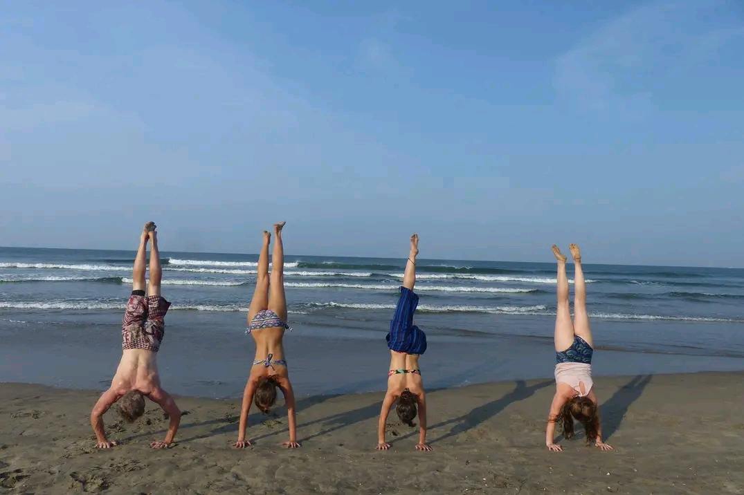 Experienced yoga teachers at Diksha Yoga: Image of skilled instructors leading a class in a tranquil, well-equipped studio, demonstrating advanced techniques and personalized guidance.